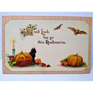 Halloween Postcard Fantasy Vampire Bats Human Face Pumpkin Cat Gottschalk 2399